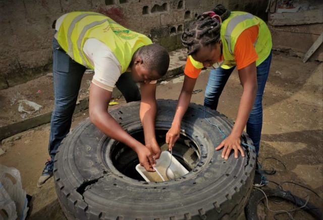 Members of the research team collecting samples in the field 