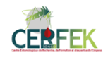 CELFEK